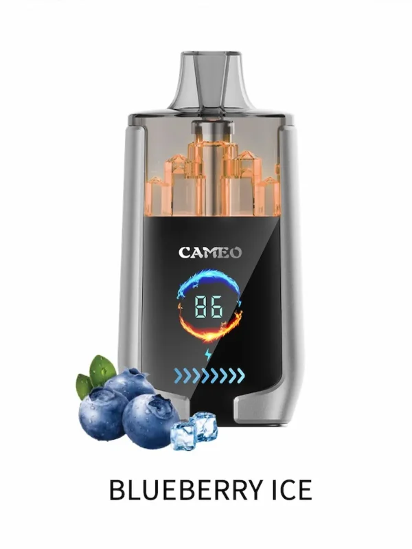 LAVIE CAMEO 30000 30K puffs disposable vape - Blueberry Ice flavor