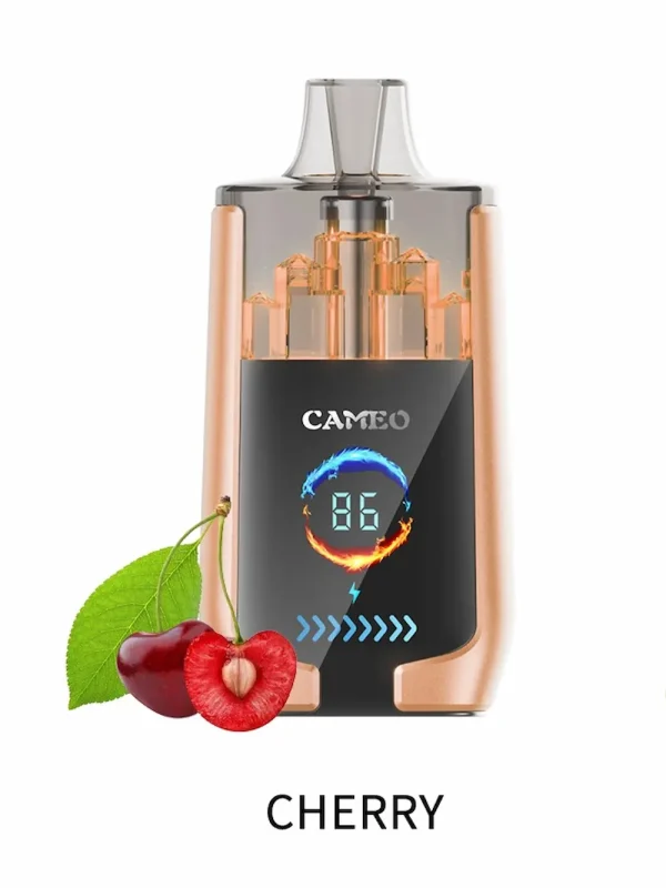 LAVIE CAMEO 30000 30K puffs disposable vape - Cherry flavor