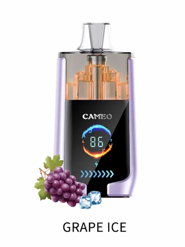 LAVIE CAMEO 30000 30K puffs disposable vape - Grape Ice flavor