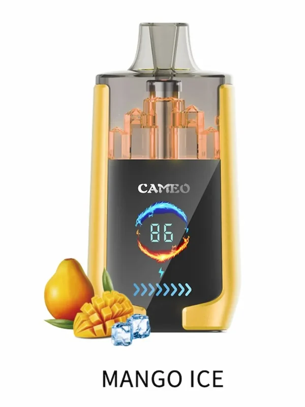 LAVIE CAMEO 30000 30K puffs disposable vape - Mango Ice flavor