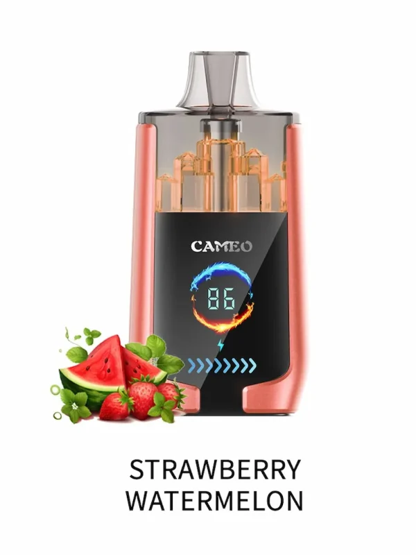LAVIE CAMEO 30000 30K puffs disposable vape - Strawberry Watermelon flavor