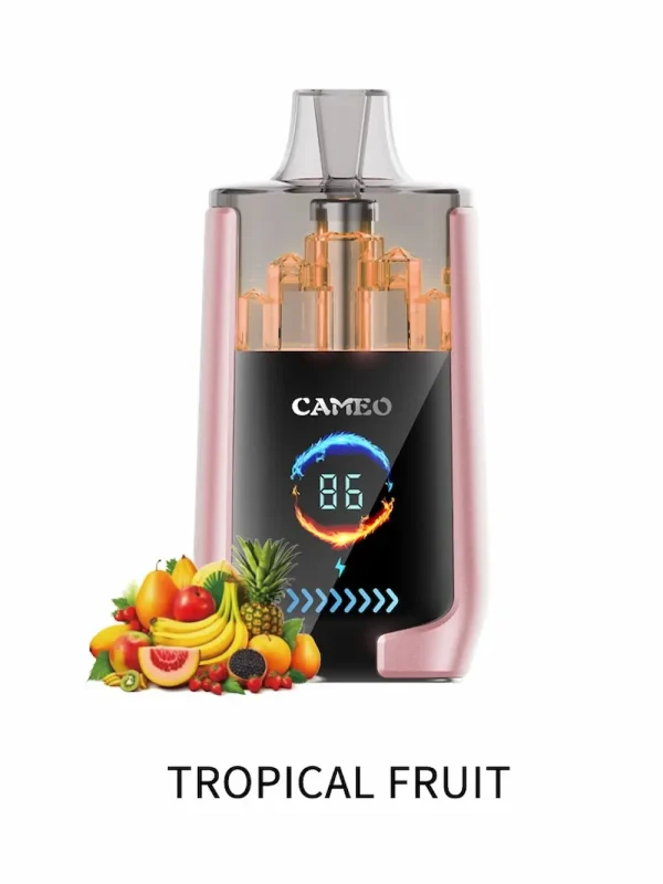 LAVIE CAMEO 30000 30K puffs disposable vape - Tropical Fruit flavor