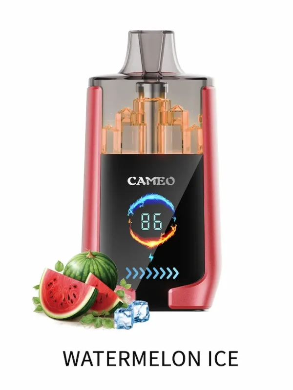 LAVIE CAMEO 30000 30K puffs disposable vape - Watermelon Ice flavor
