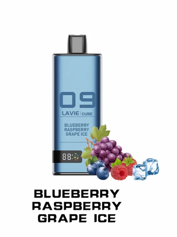 Lavie Cube 20000 20K puffar engångs vape Blåbär Hallon Druva Ice smak