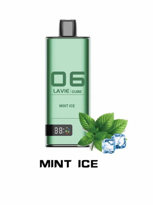 Lavie Cube 20000 20K puffar engångsvape Mint Ice-smak med LED-skärm