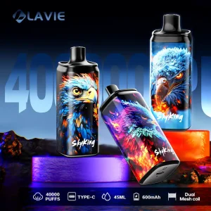 Lavie SkyKing 40000 40K puffs disposable vape main product image with mesh coil and Type-C charging