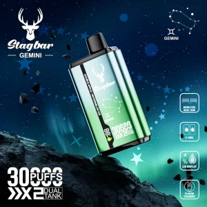 Stag bar Gemini 30000 Puffs Wegwerpvape met dubbele tank en LED-display