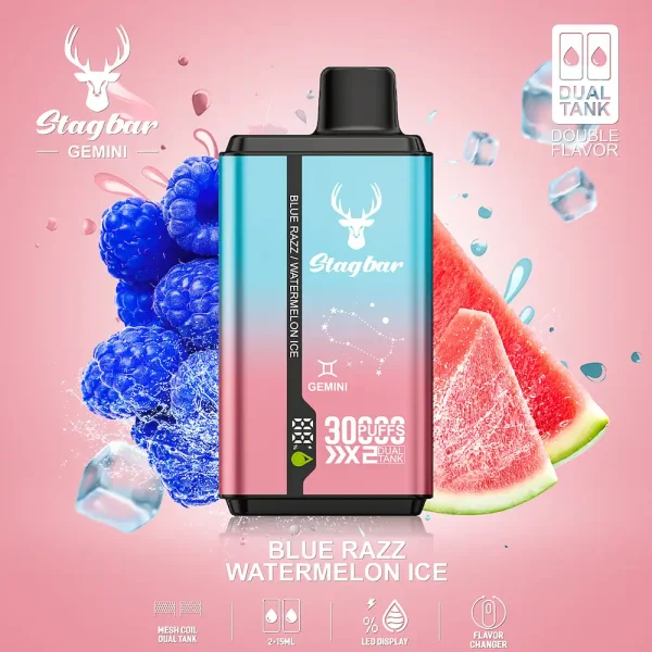 Stag bar Gemini 30000 Puffs Disposable Vape – Blue Razz & Watermelon Ice Dual Flavor
