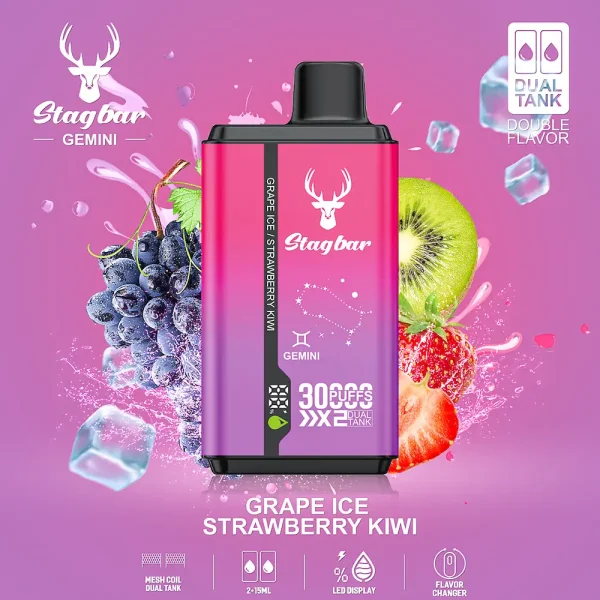 Stag bar Gemini 30000 Puffs Disposable Vape – Grape Ice & Strawberry Kiwi Dual Flavor