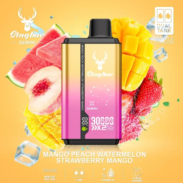 Stag bar Gemini 30000 Puffs Disposable Vape – Mango Peach Watermelon & Strawberry Mango Dual Flavor