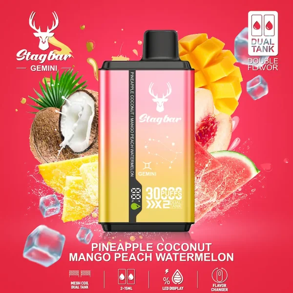 Stag bar Gemini 30000 Puffs Disposable Vape – Pineapple Coconut & Mango Peach Watermelon Dual Flavor