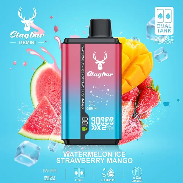 Stag bar Gemini 30000 Puffs Disposable Vape – Watermelon Ice & Strawberry Mango Dual Flavor