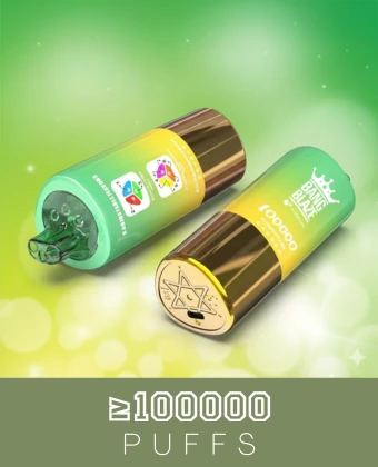 100000 puffs wegwerpvapes