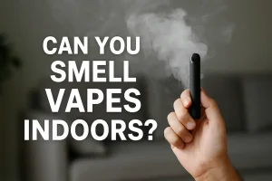 Bloggsökning 8 En vape med ånga i ett mysigt vardagsrum, som visar atmosfären för inomhusvaping.