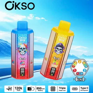 OKSO 120000 6-in-1 disposable vape with LED display